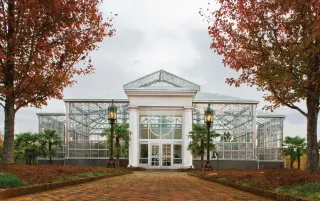 🌸Blooming Beauty in Charlotte - Discover the Magic of Daniel Stowe Orchid Conservatory