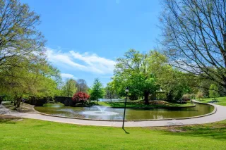 🌳Explore Charlotte’s Urban Oasis: Freedom Park