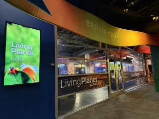🔬 Discovery Place Science: Charlotte’s Hub for Curiosity and Fun