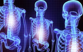 Understanding Osteopenia and Osteoporosis: Causes, Risks, and Training Solutions