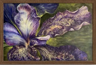 Art Collecting 101