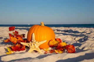 Fall Adventures in North Myrtle Beach: Why Autumn is the Perfect Time for a Coastal Getaway