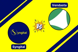 Syngital vs Vendasta
