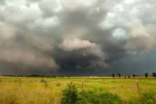 Storms, Cows, and Buffalo
