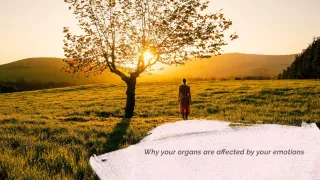 Why your organs are affected by your emotions