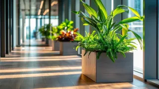 Elevate Your Property With Professional Landscape Contracting