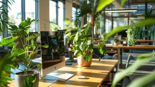 Local Landscaping Strategies to Revamp Your Business Atmosphere