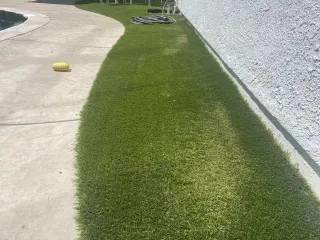 Can a windows reflection melt or damage artificial turf? 