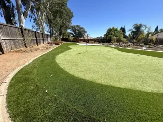 I wanted a Pro Putting Green and got mini golf 