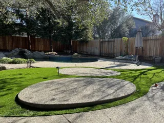Gophers + Turf in Pleasanton, CA: What You Actually Need to Know