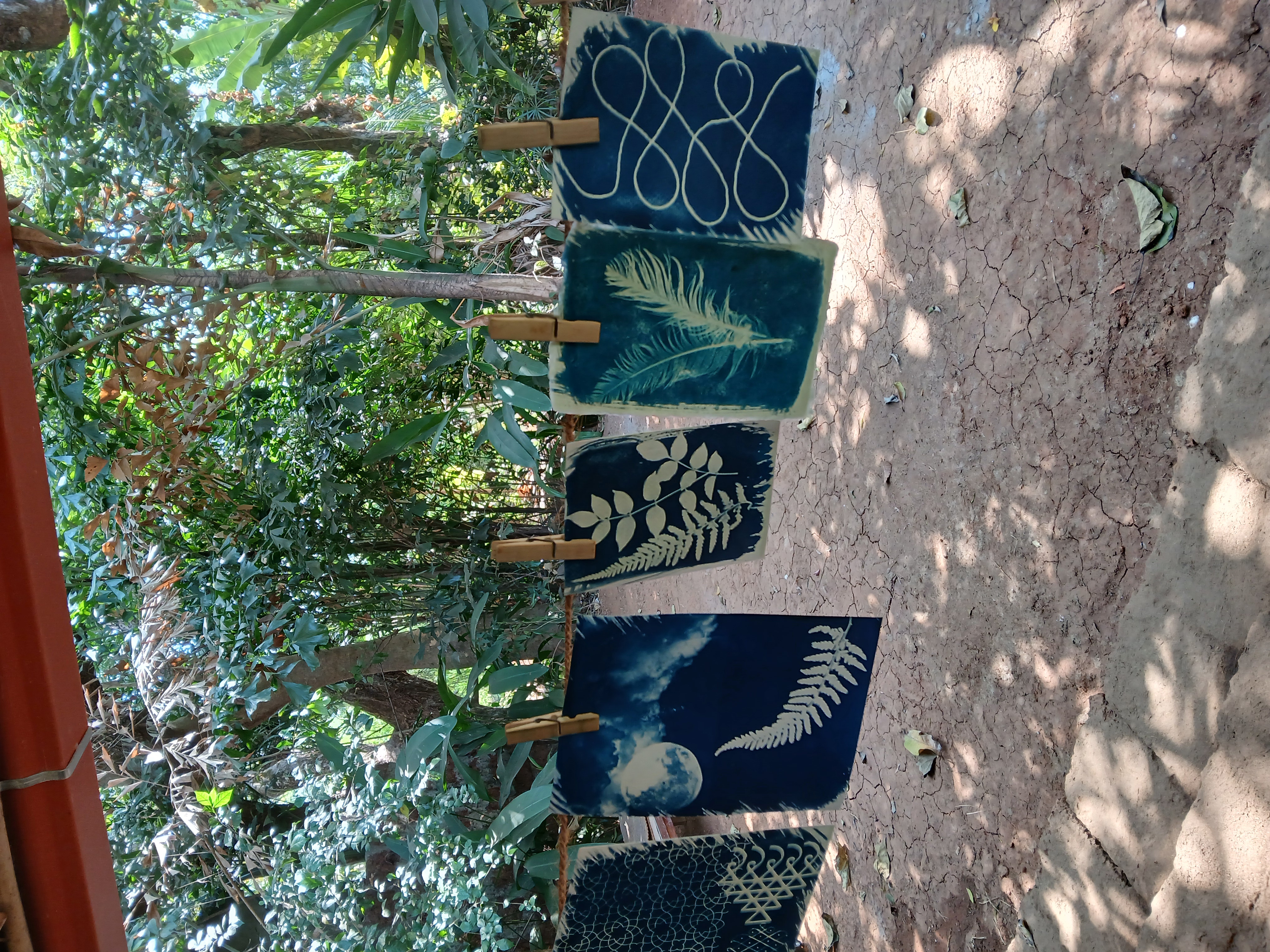 Discovering Cyanotype Printing in Goa: Blueprints, Sunlight, and Slow Creativity