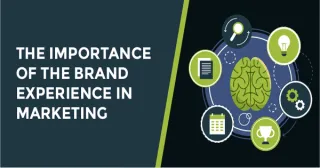 The Importance of the Brand Experience in Marketing