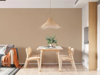 Aménagement & Peinture : Comment Agrandir Visuellement Vos Espaces à Albi grâce aux Couleurs et Finitions