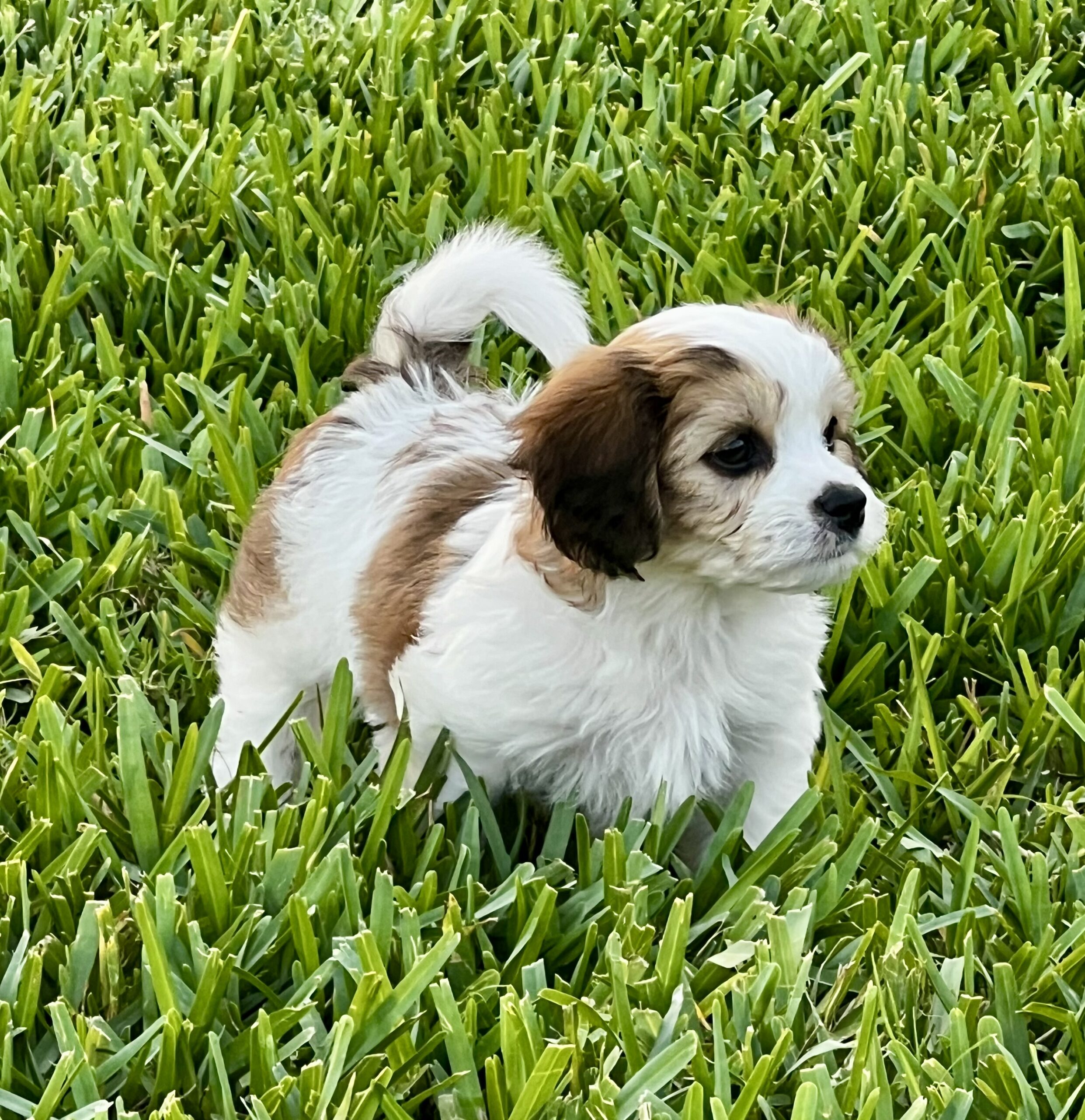 Casino en ligne France : bonus sans dépôt