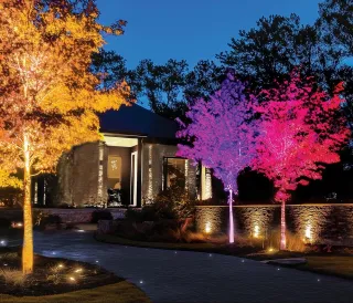 The Lighting Designer’s Secret to Turning Yards into Luxury Living Spaces