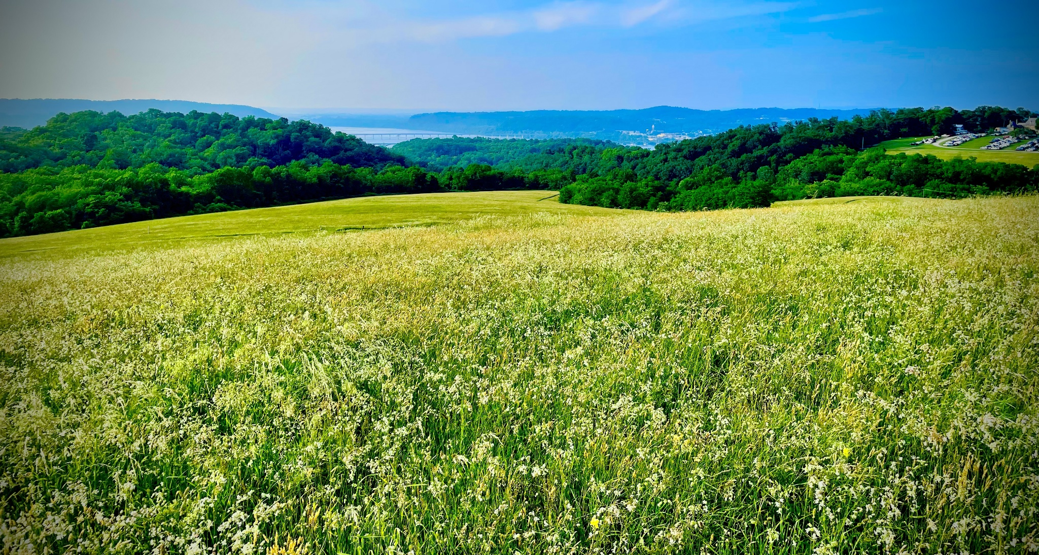 2025 Revealed Much: Identity, Immigration, and Delineation