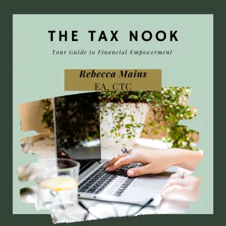 The Advantages of Hiring a Tax Pro: Why DIY Tax Filing May Cost you 