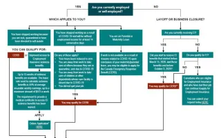 CERB and COVID-19 Roadmap