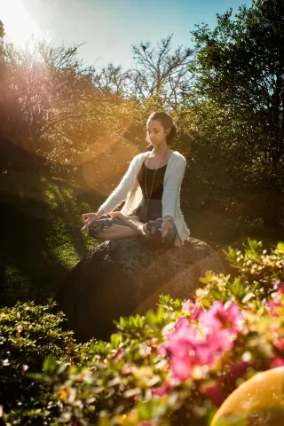Meditation Spot: A Zen Journey