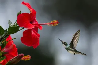 Embracing Self-Compassion: A Path to Personal Growth and Well-Being