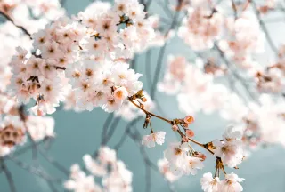 Empower Your Inner Guide: Harness the Strength of Values-Based Alignment
