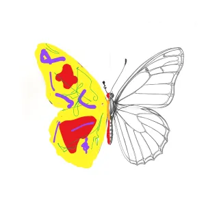 How Would You Draw a Butterfly?