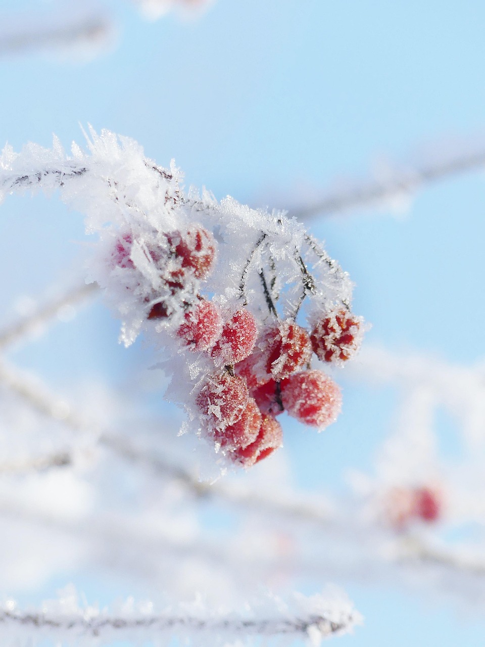 How Freeze-Thaw Cycles Can Damage Your Home