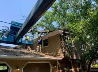 Storm Cleanup in Green Bay: Restoring Safety After Weather