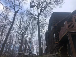 Affordable Tree Trimming | Year-Round Landscape Care