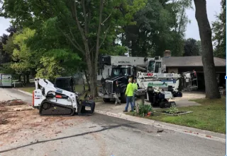 Affordable Professional Tree Trimming Services in Green Bay WI