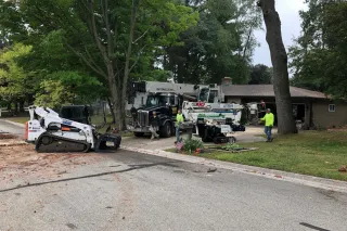 Affordable Professional Tree Trimming Services in Green Bay WI