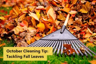 October Cleaning Tip: Tackling Fall Leaves