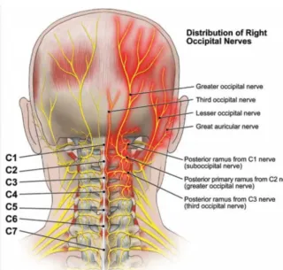 Navigating Occipital Neuralgia: Solutions from a Linwood Chiropractor