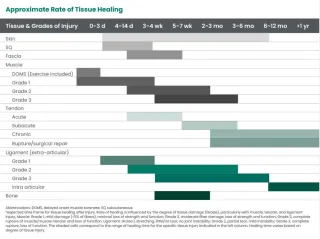 Why People Still Experience Pain While Working on Their Neck or Low Back