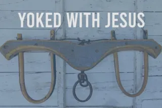 Yoked with Jesus