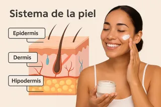 Sistema de la piel