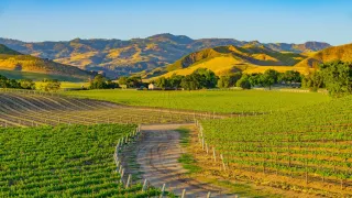  Santa Ynez Valley Real Estate Market Report – April 8, 2025