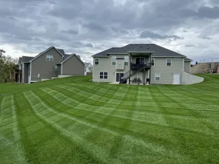 Pine Trees, Acidic Soil & Your Lawn: What You Need to Know (Northern Ontario Edition)