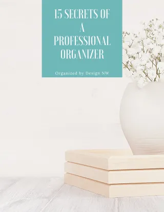 15 SECRETS OF  A  PROFESSIONAL ORGANIZER