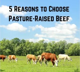 5 Reasons to Choose Pasture-Raised Beef
