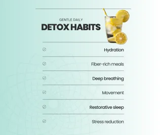 6 Simple Daily Detox Habits