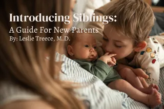Introducing siblings: a guide for new parents