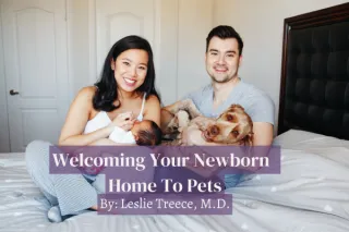 Welcoming Your Newborn Home To Pets
