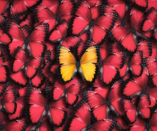 Your Path to Healing Is Sacred—Let It Be Yours