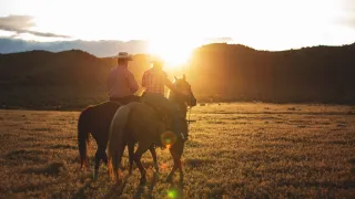 If it's Scaring Your Horse, Dont' Look at it