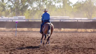 What is a Bridle Horse?