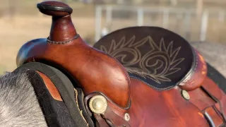 Individuality in Horsemanship