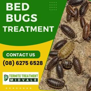 How To Know If You Have Bed Bugs?