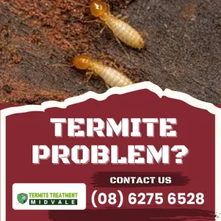 Termite Bait Stations Versus Barrier Treatments