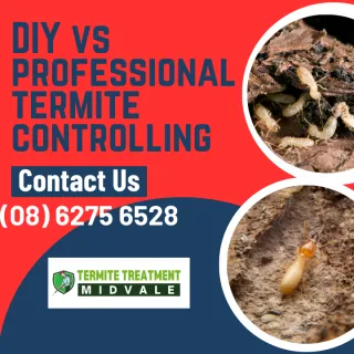 DIY Termite Control
